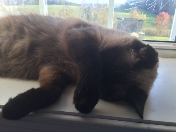 Its Too Early, The Suns In My Eyes!