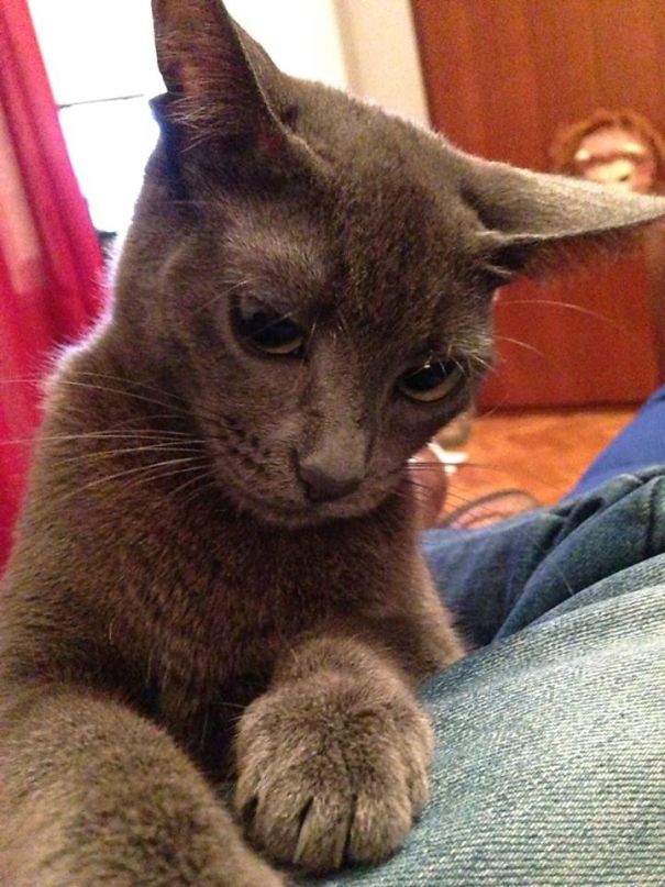 What Are Doing There !?