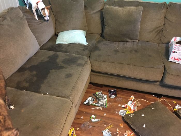 Oh Shit! The Living Room Exploded While You Were Gone