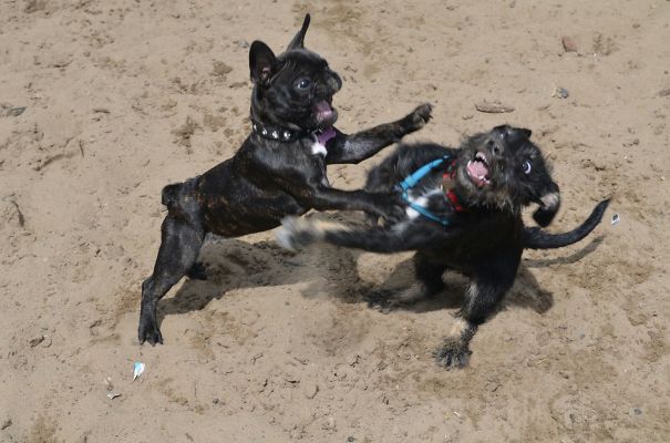 Don't Sniff My Ass🤣🤣🤣😂😂😂