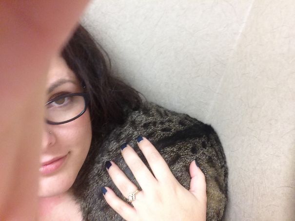 My Cat At The Vet Hiding In The Corner.