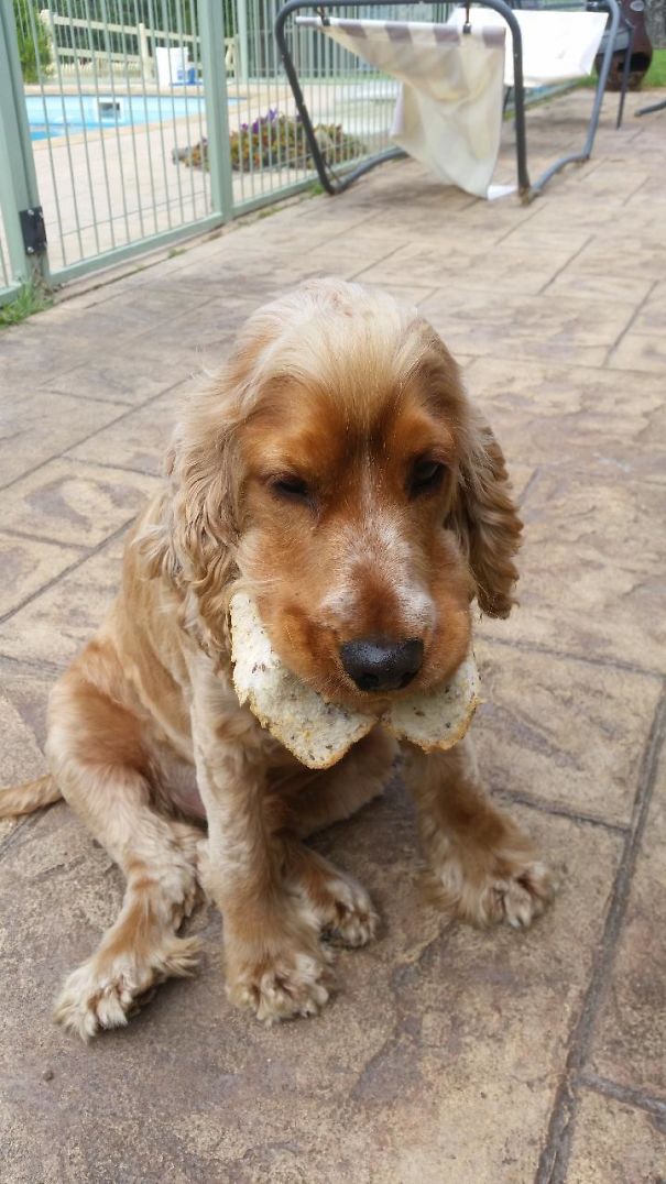 Asked My Sister To Go Feed The Horses...