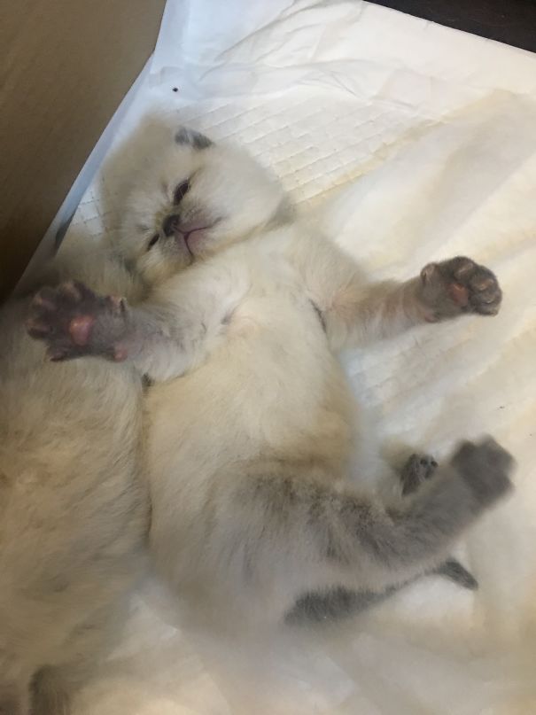 No! You Have To Go On! Leave Me Behind And Don't Look Back