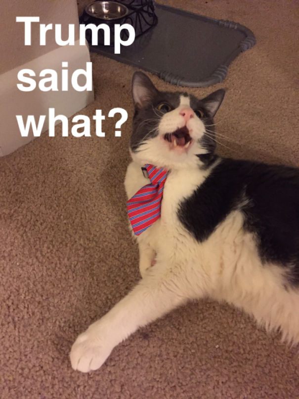 He's Not A Fan Of Being Grabbed.