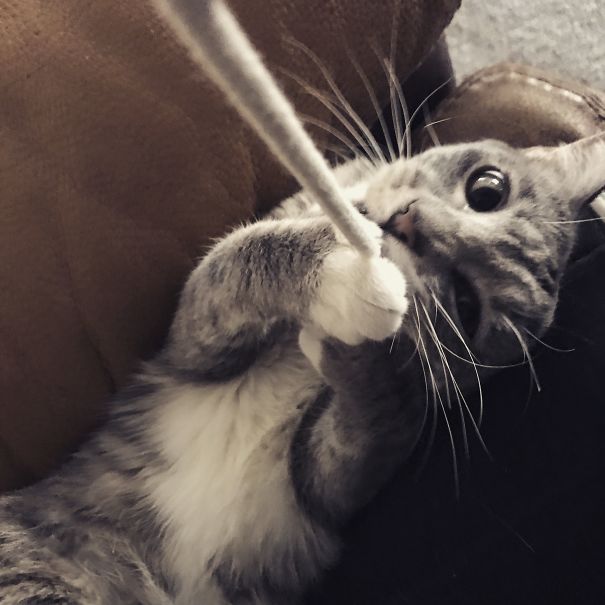 Oh, Sorry.... Is This Yours?