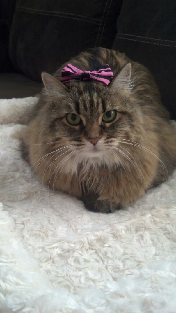 The Things I Have To Deal With... My Mommy Is A Cosmetologist.