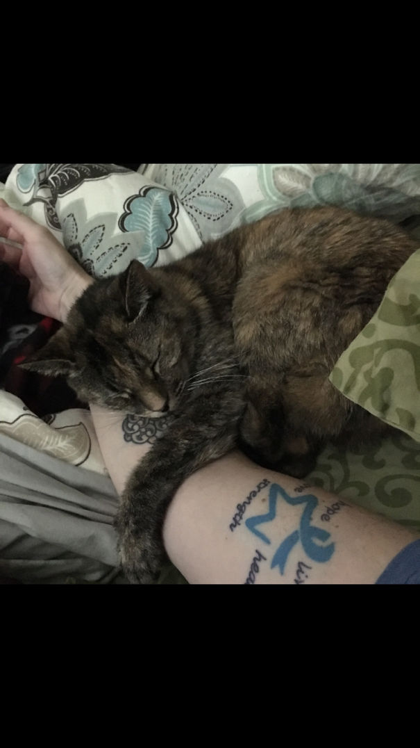 No!!!! Don't Leave Me!!!!