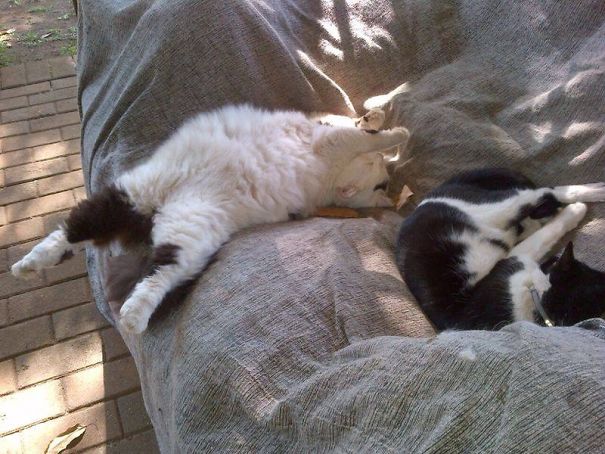 Sometimes I Just Sleep...