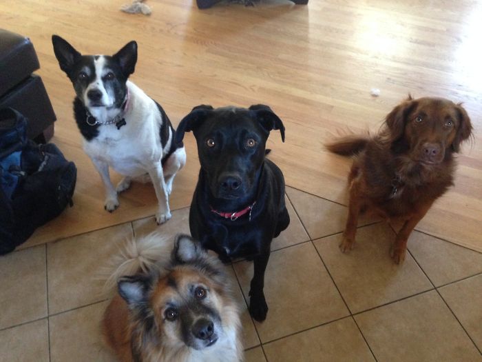 Did Someone Say Treats?