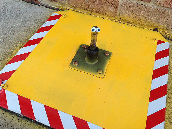 Beaker Gets Quarantined