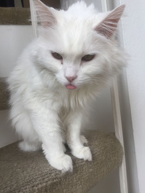 This Is Beauty. Her "beauty Sleep" Was Cut Short.