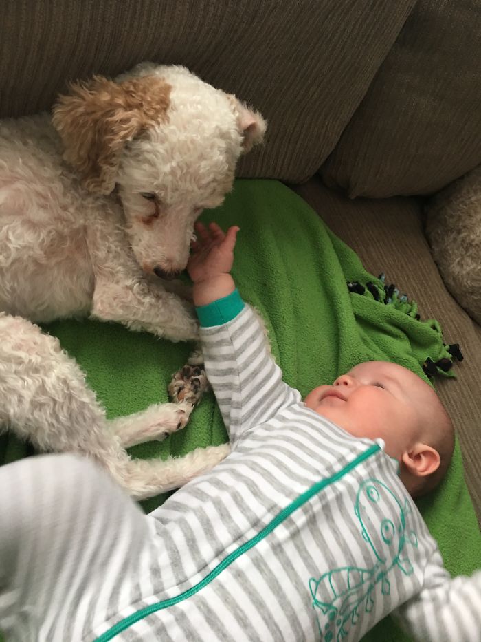 My Oldest Boy With My Newest Boy