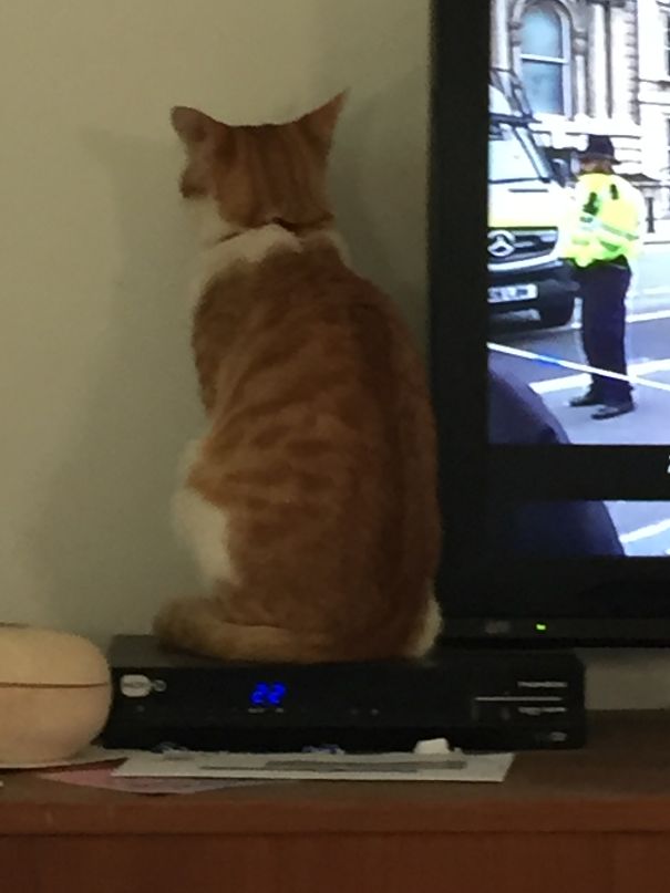 I'm Not Talking To You!!