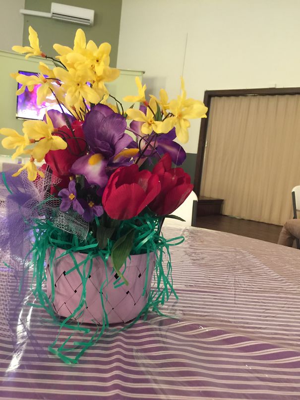 What Are You Planing Lillies?