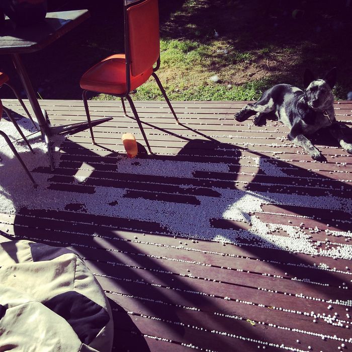 Apparently It Snowed Overnight, Nothing To Do With The Empty Beanbag