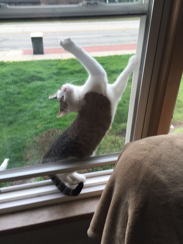 This Isn't How I Imagined It......