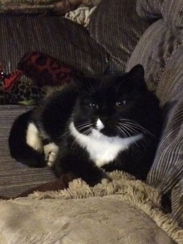 When The Cosmos Defy Explanation