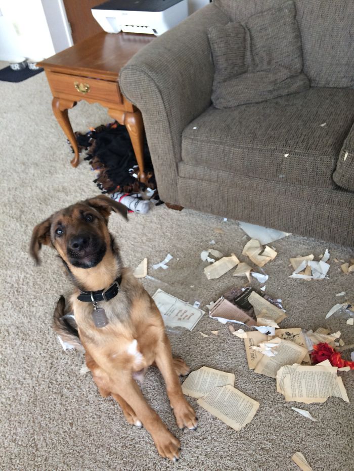 Someone Decided To Do Some Light Reading