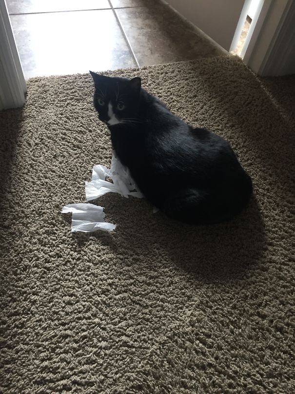 You Didn't See This...