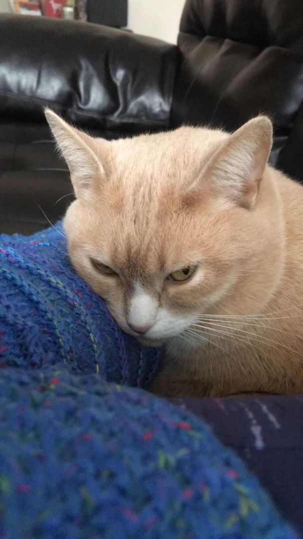 I Dared Wake Him Up. . . .