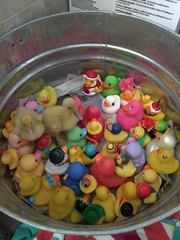 Where Is Dad? Wasn't He Wearing A Hat?