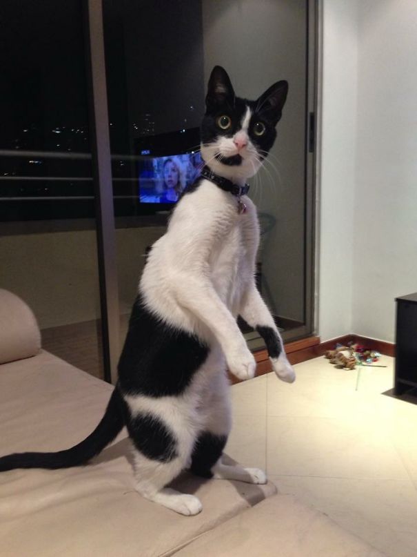 Every Time The Phone Rings...