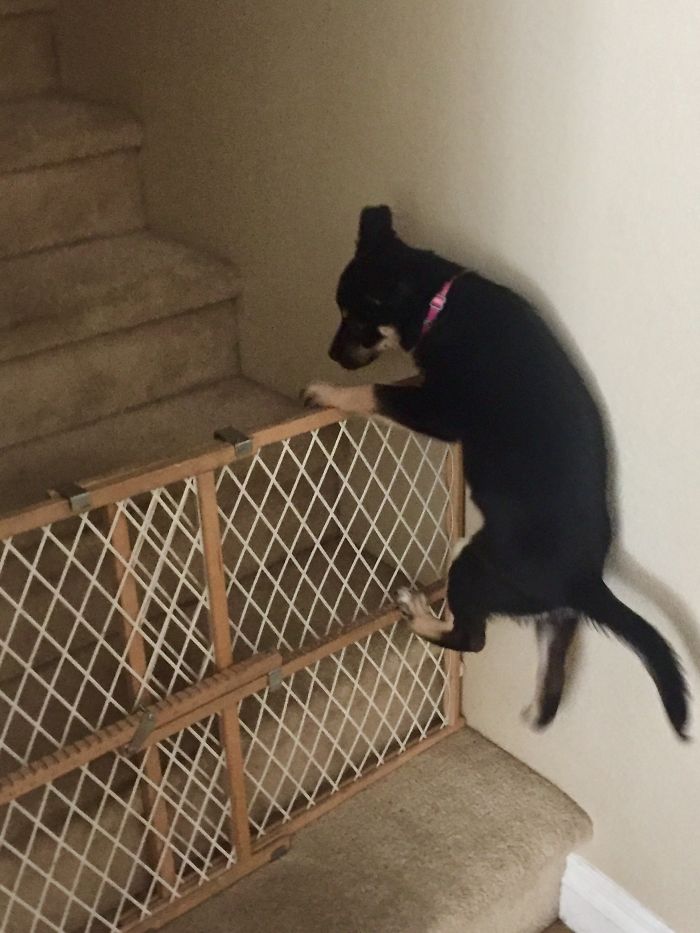 Caught In The Act: She's Too Smart For Her Own Good.