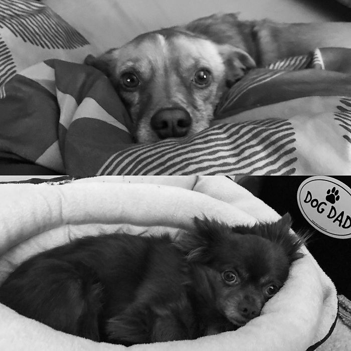 Do You Have To Go To Work?