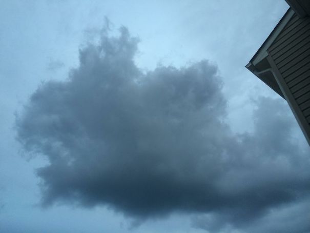 Cloud Looks Like A Fish