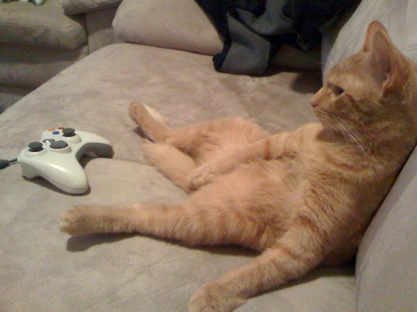 After A Long Night Of Gaming He's Officially Beat...