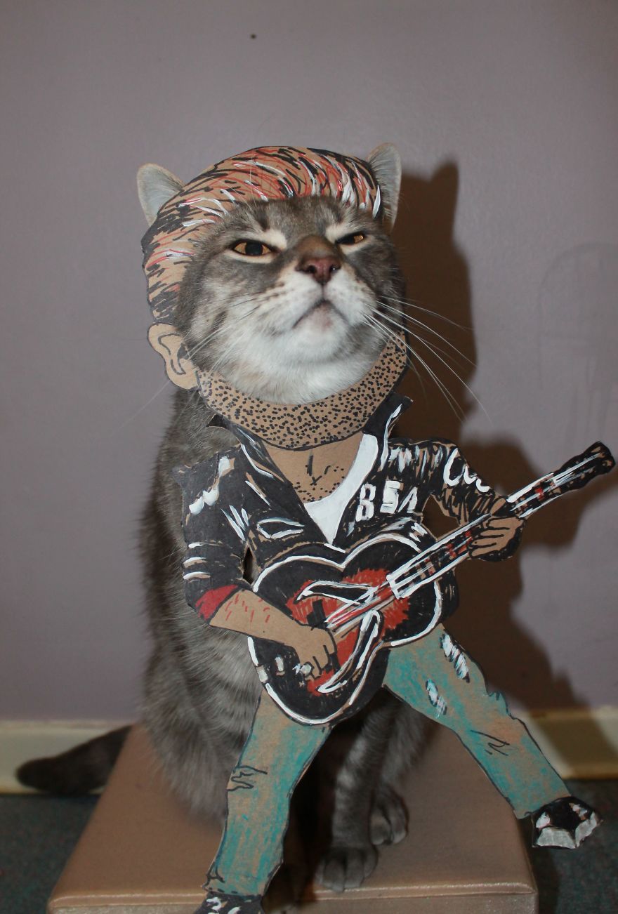 This Cat Enjoys Dressing Up! This Cat Enjoys Dressing Up!