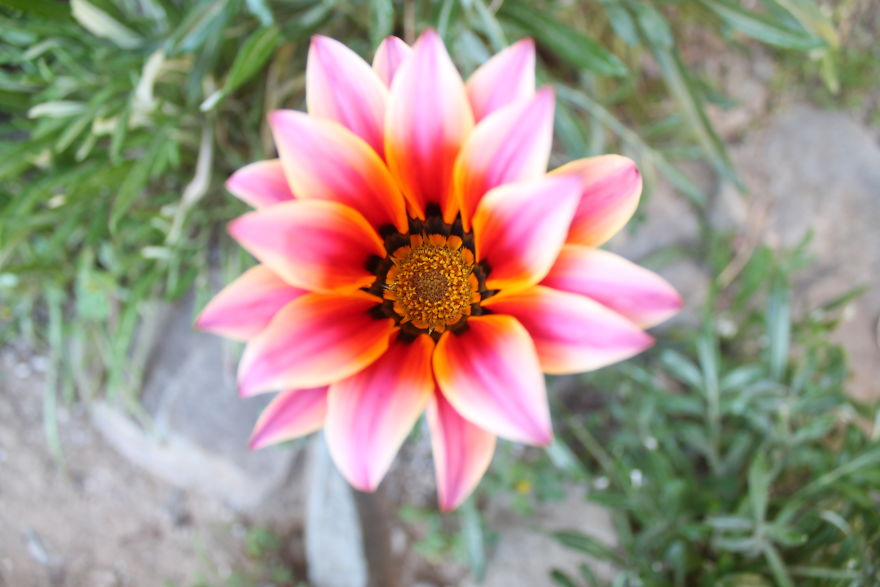 Cyprus From The Other Side