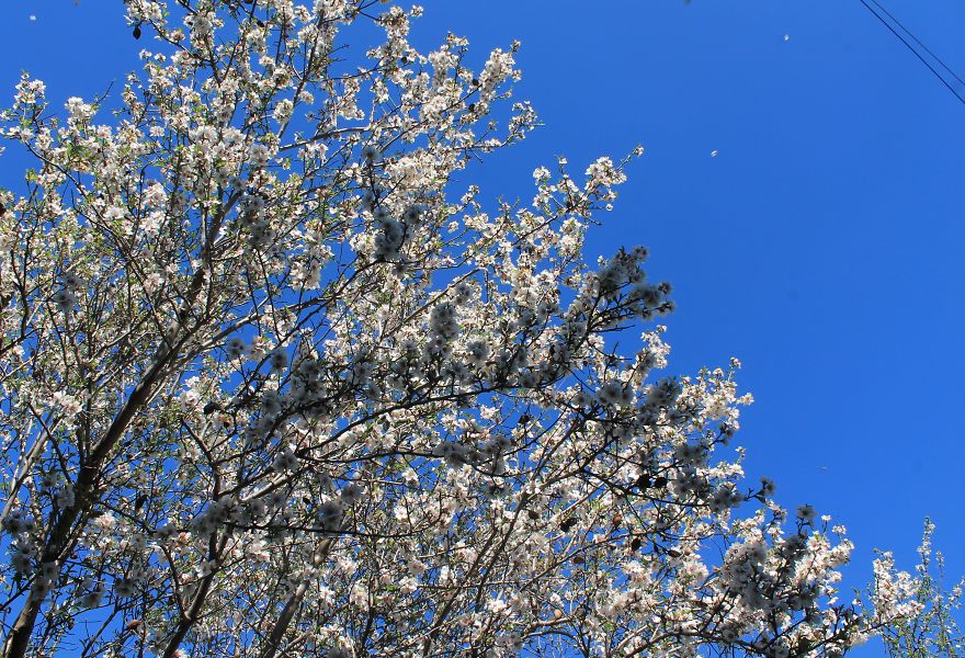 Cyprus From The Other Side