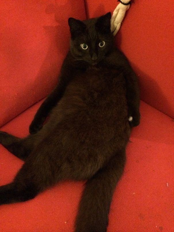 What's The Problem? I'm Just Chillin'.