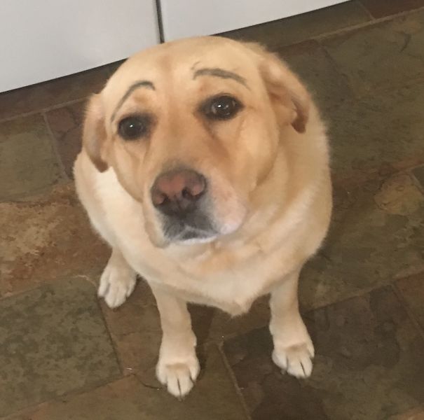 Daughters Said Dark Eyebrows Make Her Look Younger