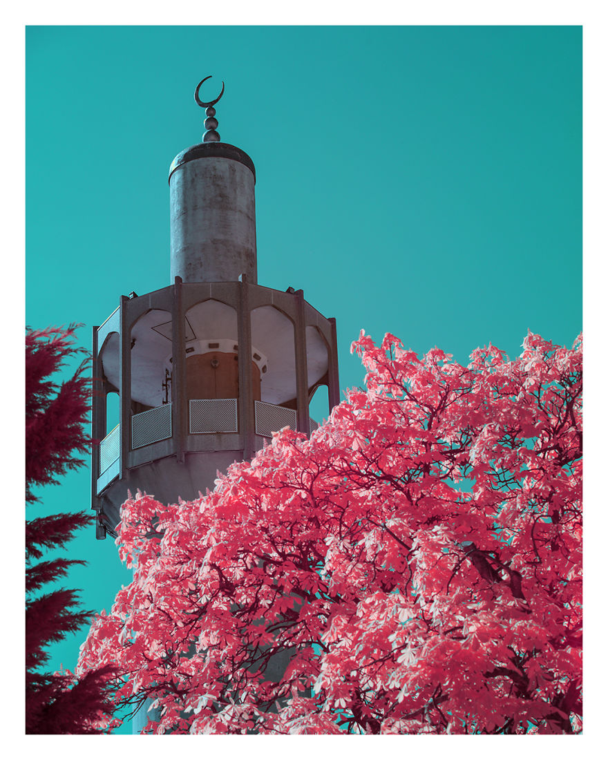 I Captured The Arrival Of Spring On London In Ultracolour