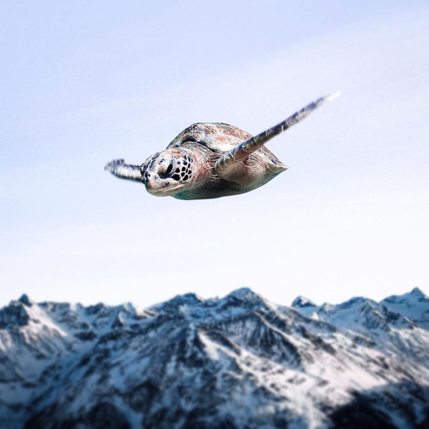 "Sink Or Fly" Is The Phrase... Isn't It?