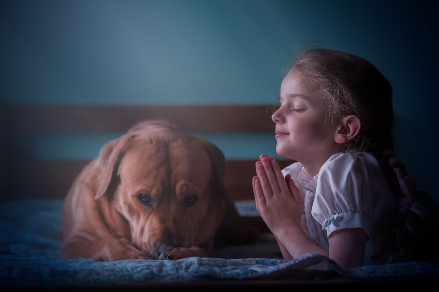 I'm Not Really A "Dog Person", But This Big Red Dog Is Winning My Heart And Here's Why I'm Not Really A "Dog Person", But This Big Red Dog Is Winning My Heart And Here's Why