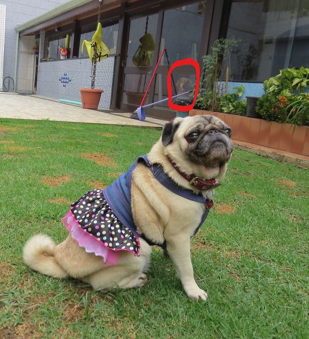 Why I Can't Be There?