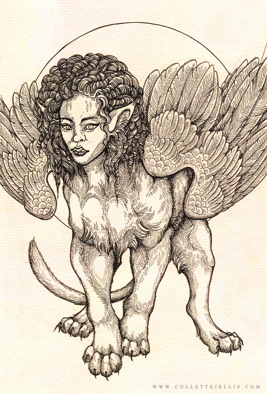 I've Created A Sketchbook Full Of Dragons And Mythical Creatures