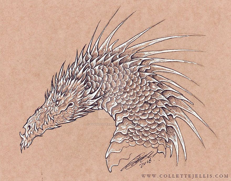 I've Created A Sketchbook Full Of Dragons And Mythical Creatures I've Created A Sketchbook Full Of Dragons And Mythical Creatures