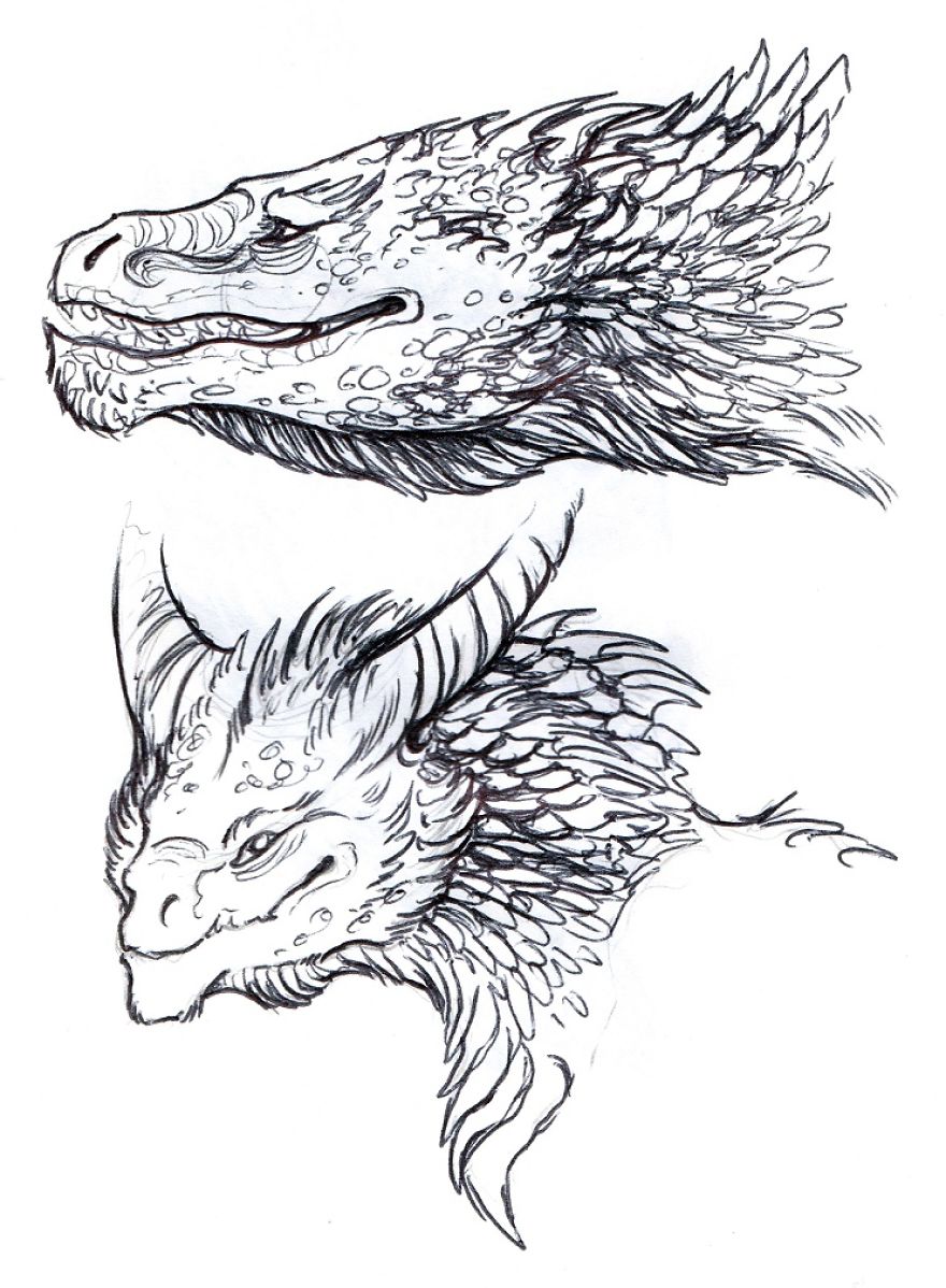 I've Created A Sketchbook Full Of Dragons And Mythical Creatures
