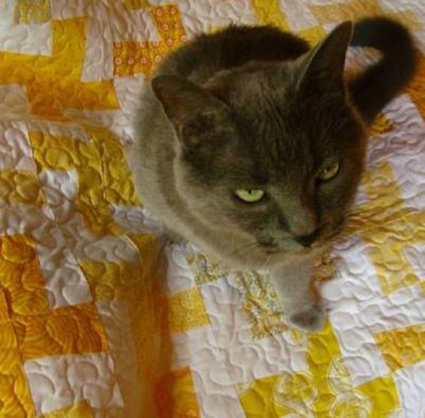 Find Your Own Blanket...