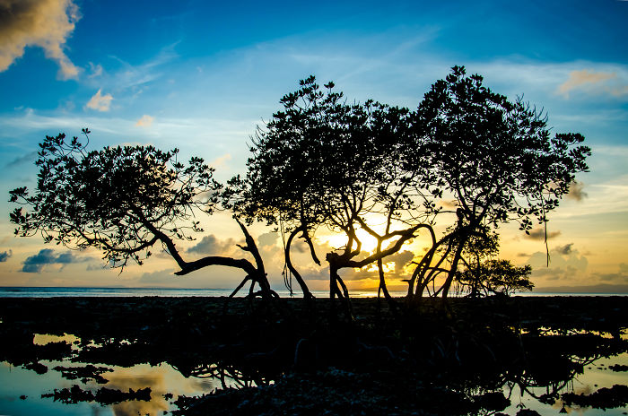 I Photographed The Beauty Of Andaman Islands