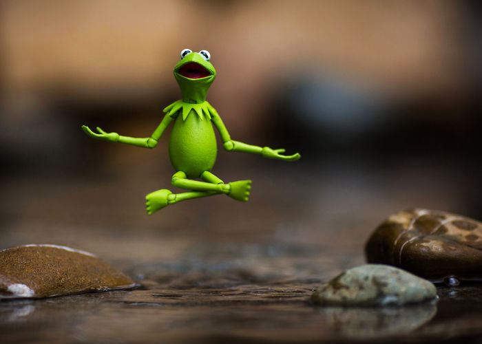 The Tao Of Kermit