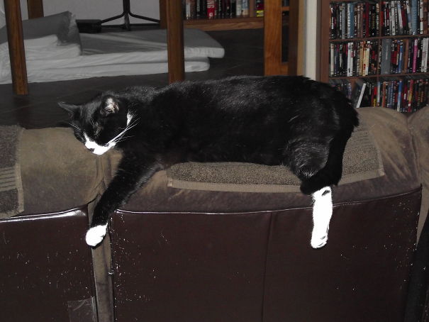 Grabbin' A Quick Power Nap.....