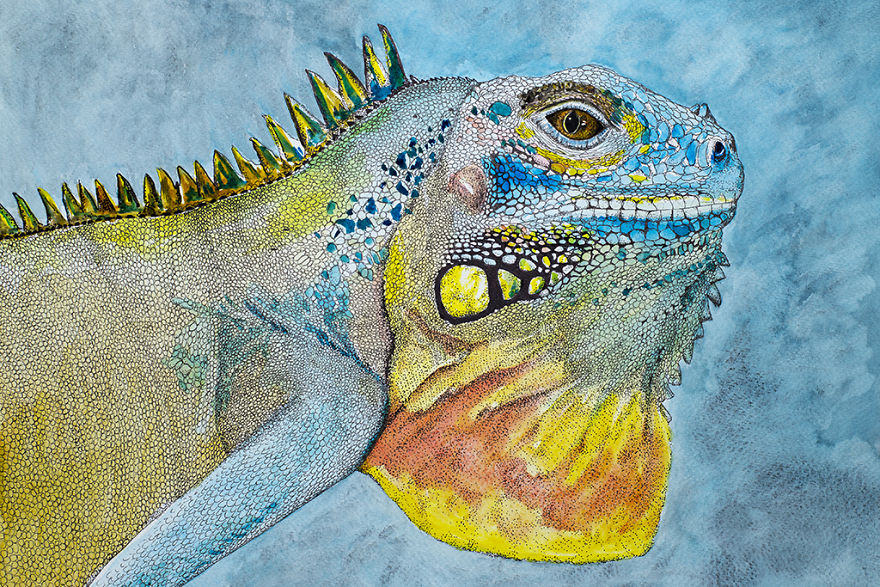 New Animals At Watercolour Zoo