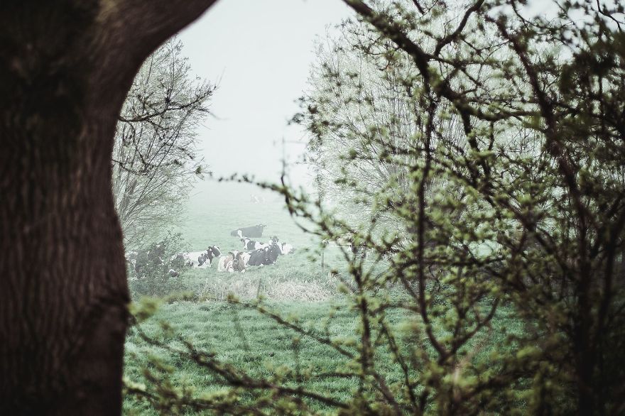 I Captured The Mystery Of Fog