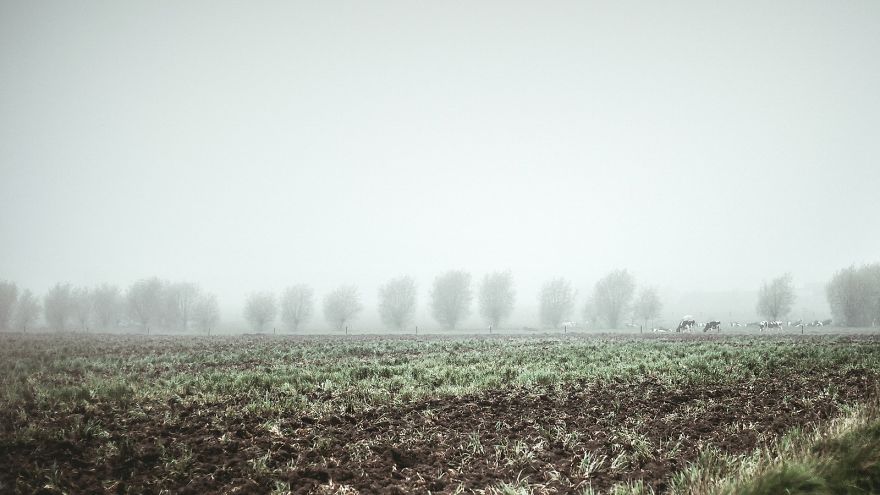 I Captured The Mystery Of Fog