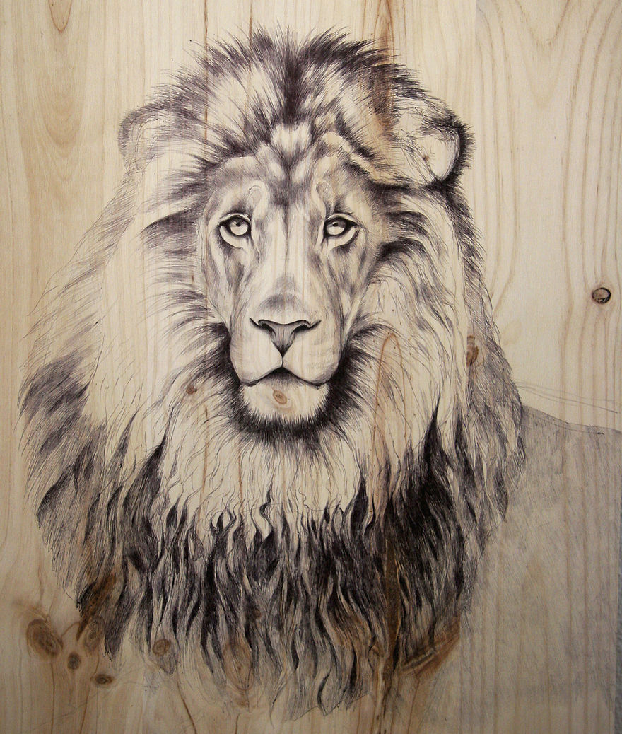 My Nature-Inspired Drawings That I Create On Recycled Wood